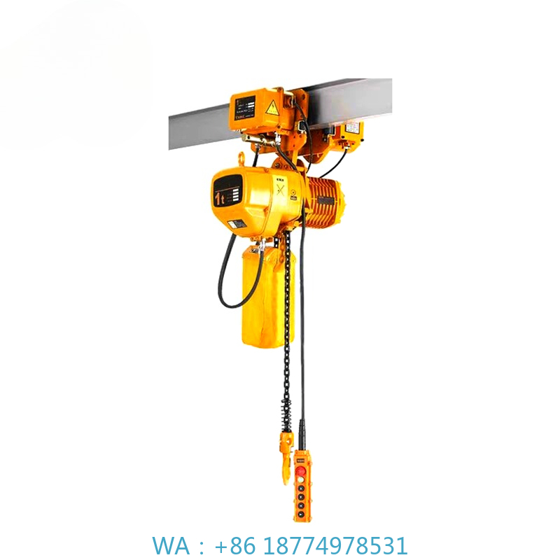 Hoist 50Hz 60Hz Hook Electric  - Electric Chain Hoist のレビューと価格