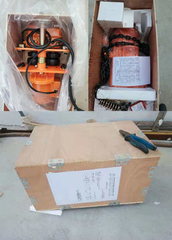 Chain Hoist Price Kenancranes  - Electric Chain Hoist のレビューと価格
